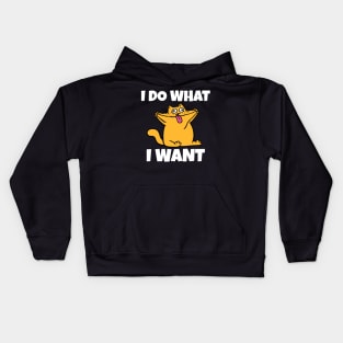 I do what I want funny cat Kids Hoodie